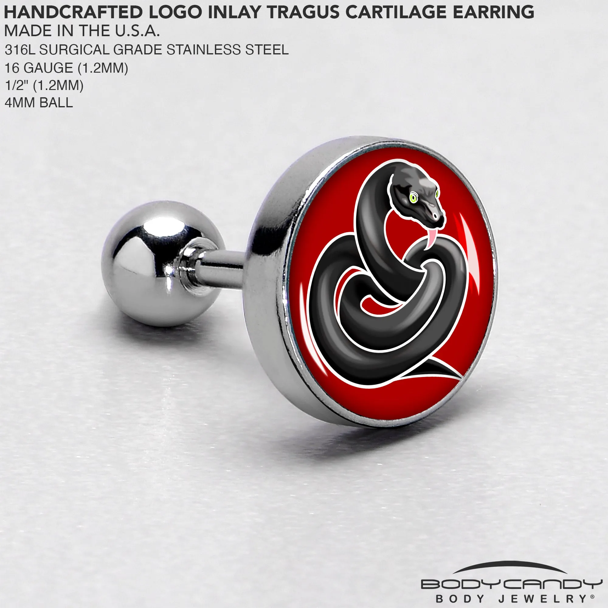16 Gauge 1/4 Black Snake Cartilage Tragus Earring