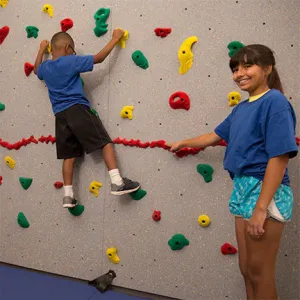 Everlast Climbing 8' H Standard Climbing Wall
