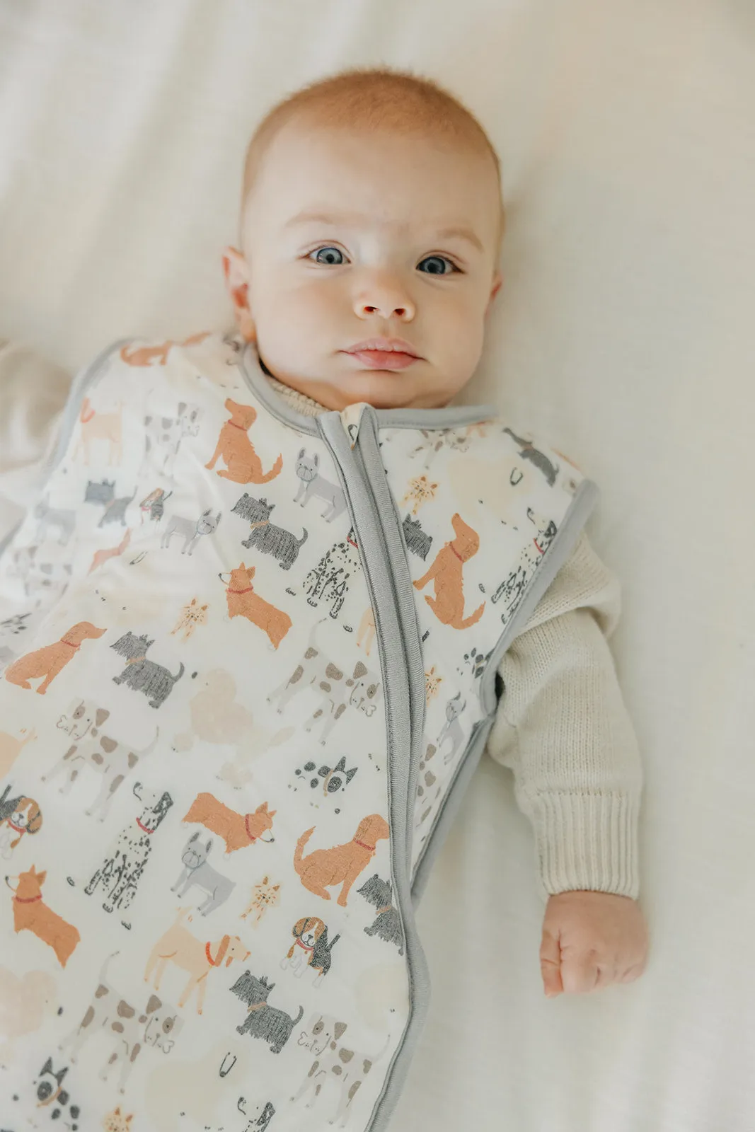 Sleep Bag - Rufus