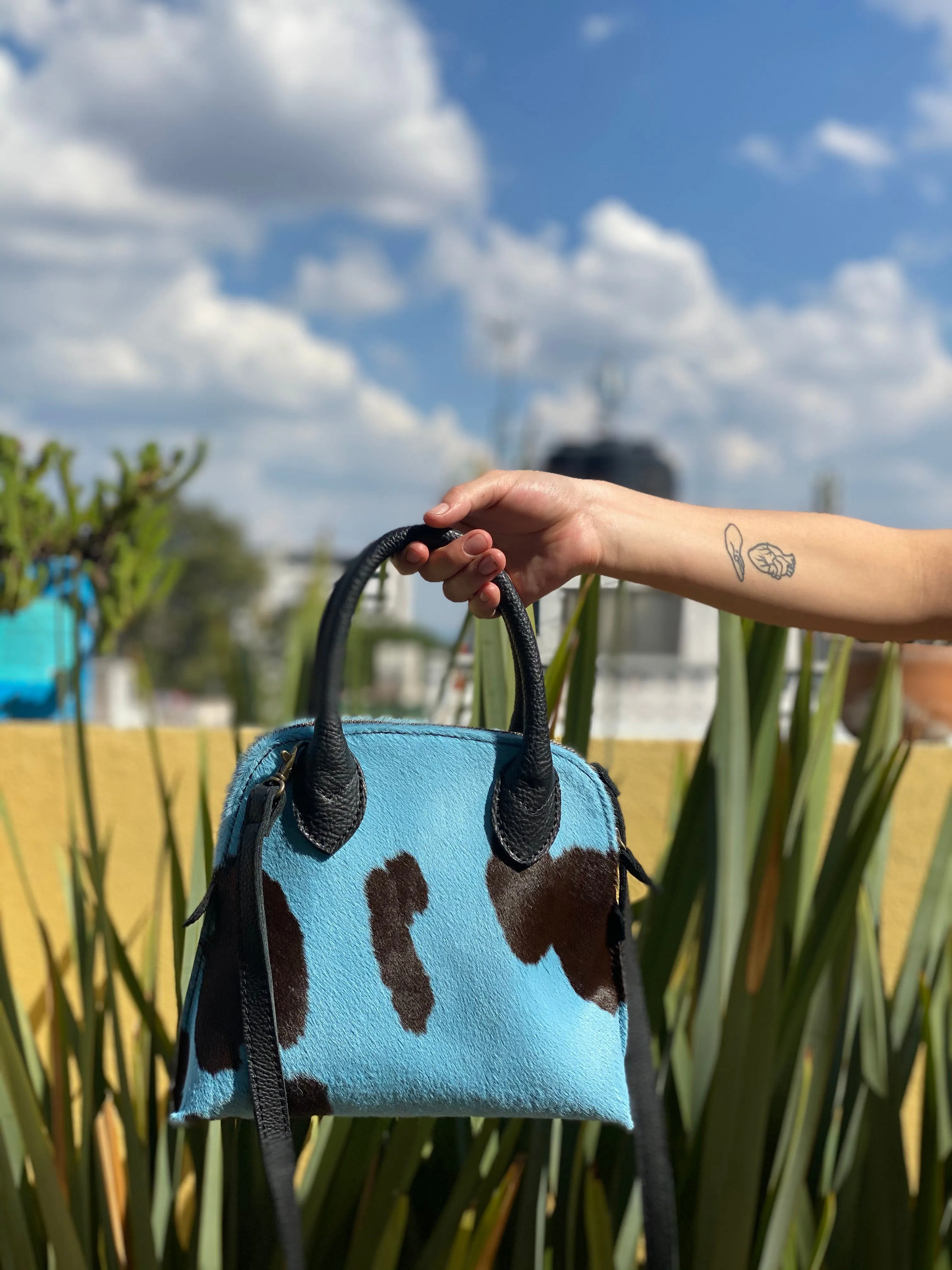 The IC Miami Mini